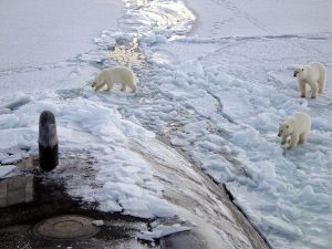1920px-Polar_bears_near_north_pole-300x225.jpg