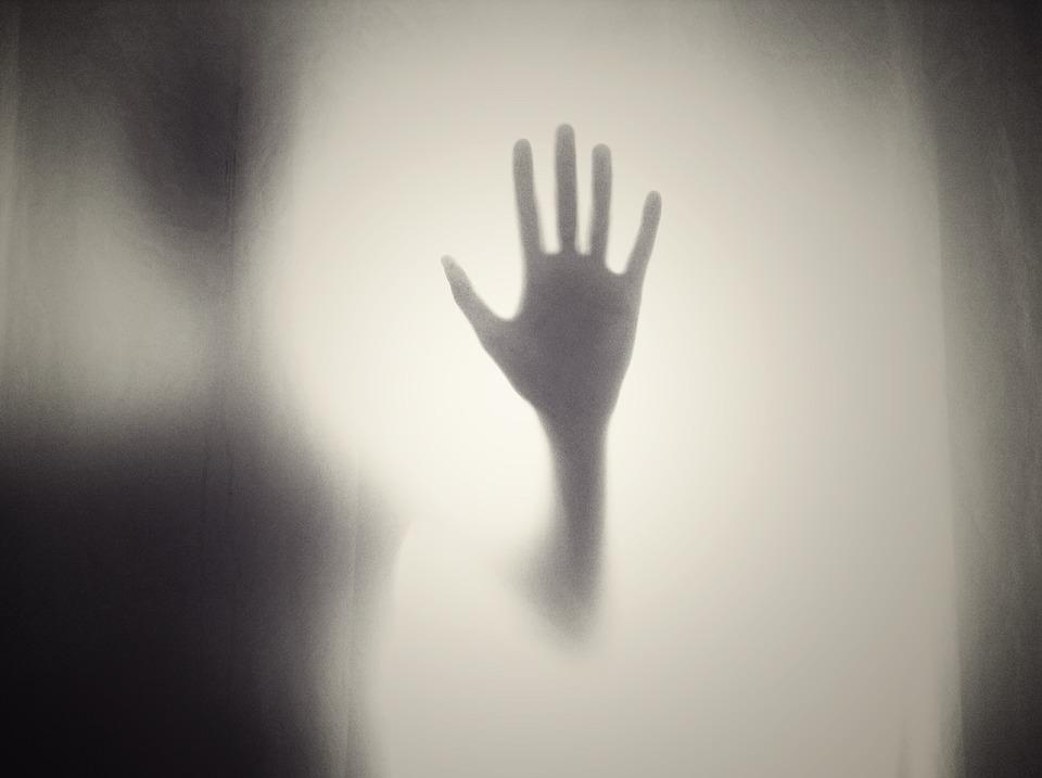 3557-1538490399801.jpg