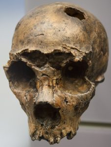 National_Museum_of_Natural_History_8587341141_CROP-227x300.jpg