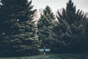 andrew-seaman-650349-unsplash-300x200.jpg