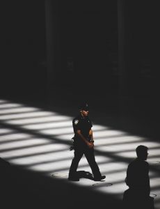 jack-finnigan-548212-unsplash-230x300.jpg