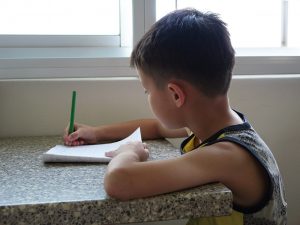 writing_boy_child_student_kid_homework_pencil_asian-740271-1544820883740-300x225.jpg