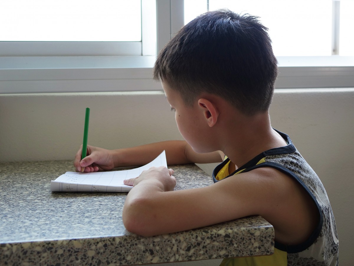 writing_boy_child_student_kid_homework_pencil_asian-740271-1544820883740.jpg