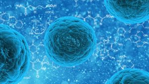 bacteria-163711-300x169.jpg