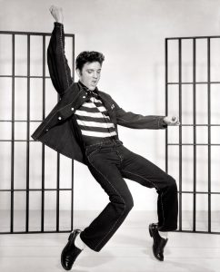 elvis-937614-242x300.jpg