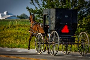 amish-1728517-300x200.jpg