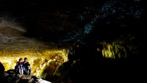 Green_Glow_Caves_in_New_Zealand_6563152219-300x169.jpg