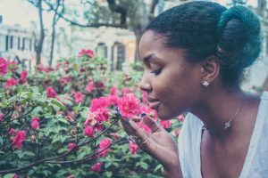 flower-731300-300x200.jpg