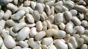 beans-3259013-300x169.jpg