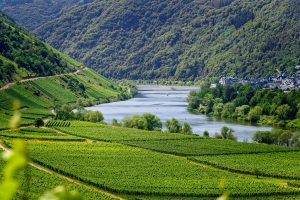 mosel-4336787_1920-300x200.jpg
