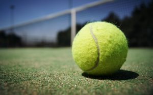 tennis-ball-984611-300x187.jpg