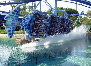 Mantawater-300x219.jpg