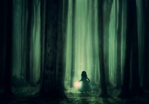 forest-3833973-300x209.jpg