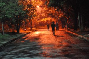lost-474124-300x199.jpg