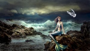 mermaid-2456981-300x170.jpg