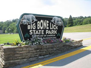 800px-Bigbonelick-300x225.jpg