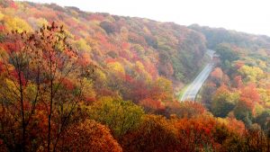 mountain-2809977-300x169.jpg