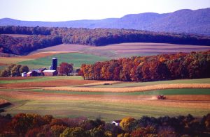 pennsylvania-139655-300x197.jpg