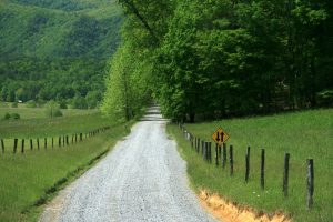 tennessee-68090-300x200.jpg