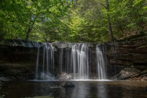 18662351089_f8e46fb522_o-300x200.jpg
