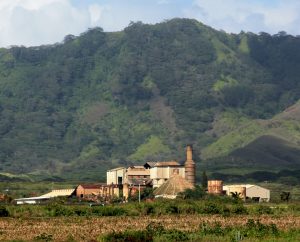 Koloa_sugar_maill-300x242.jpg