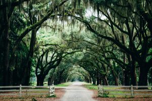 ashley-knedler-9SW9IvKD9OY-unsplash-300x199.jpg