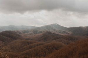 bryce-frimming-ArvaHTKKybY-unsplash-300x200.jpg