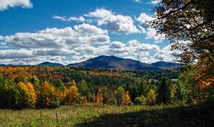 burke-1714457-300x179.jpg