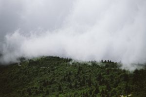 chris-abney-zpNapXheEv8-unsplash-300x200.jpg