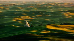 dave-6JhS-SQpT4A-unsplash-300x169.jpg