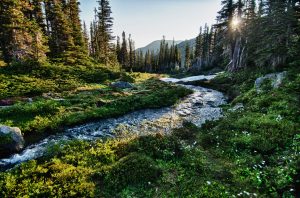 jachan-devol-ssEQdOiKd8U-unsplash-300x198.jpg