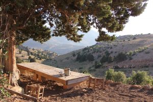 kassem-mahfouz-mBcY97cXOTs-unsplash-300x200.jpg