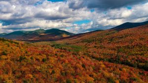 mark-mccollom-zmruNflvyDU-unsplash-300x169.jpg