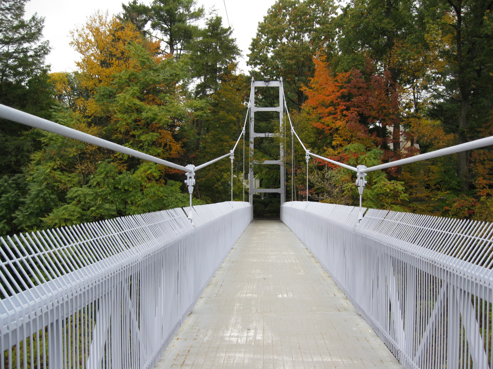 Creepiest Experiences Facts