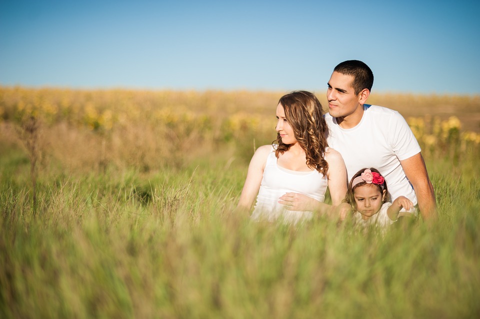 Wedding Objections facts