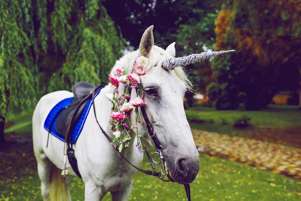 Best/Worst Wedding Facts