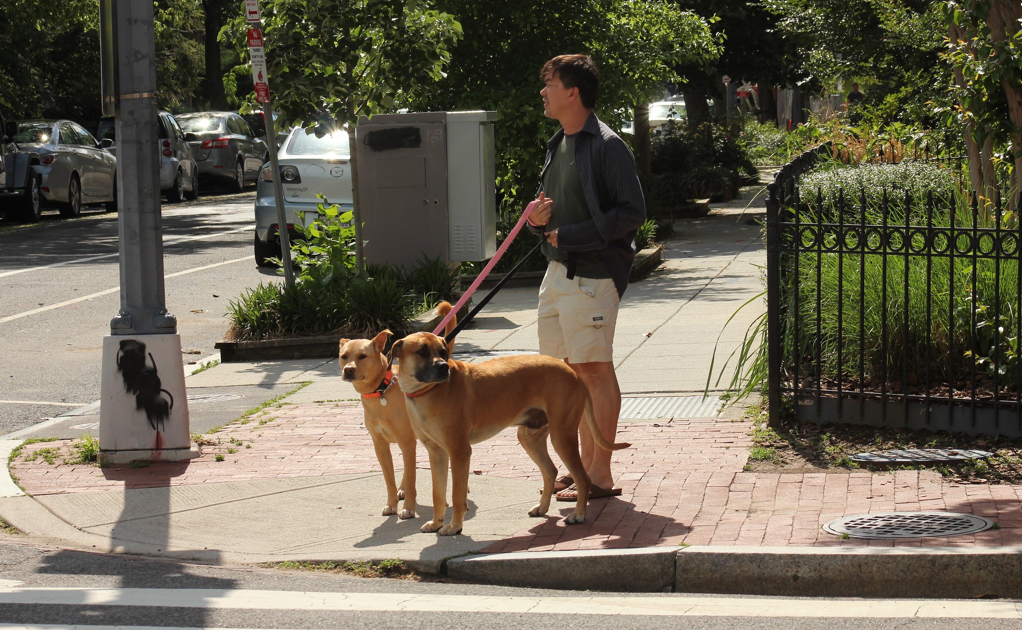 Ruined Jerk's Day Facts