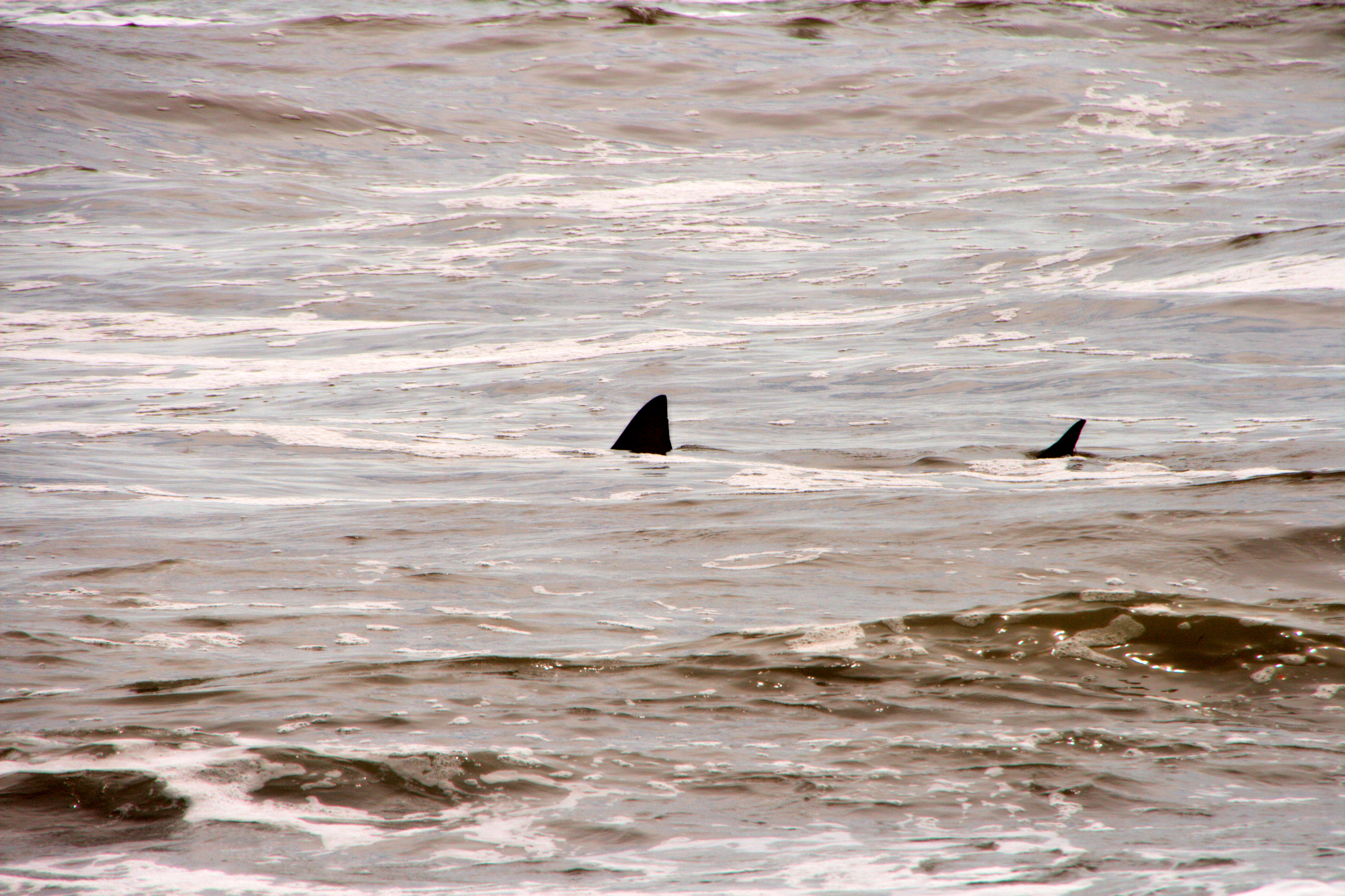 I’m In Big Trouble Facts