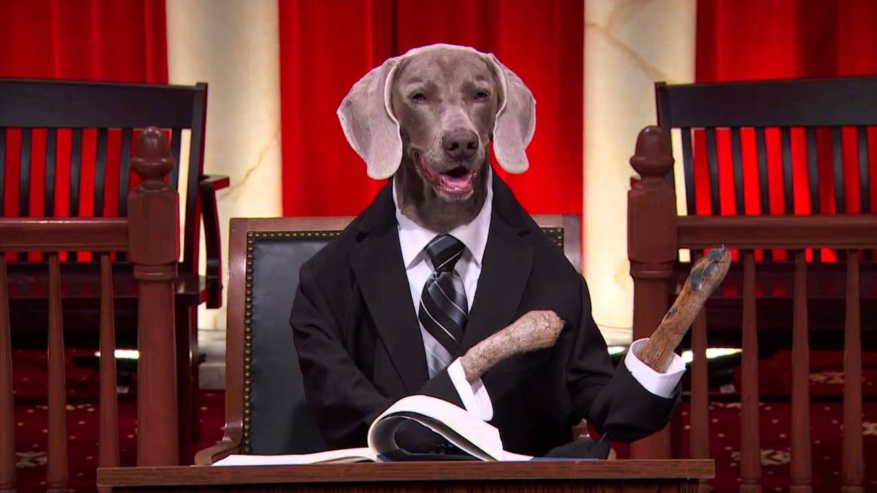 Ridiculous Court Arguments facts