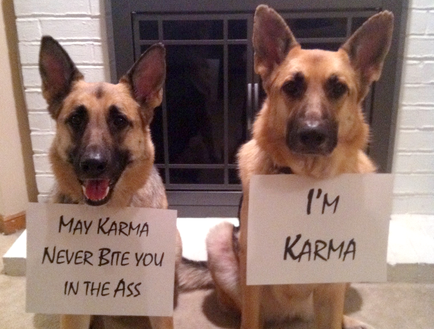 Total Jerks Receiving Instant Karma facts