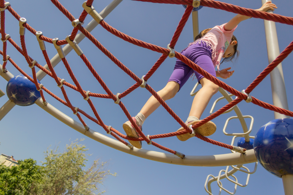 Snapped Back At Bully Facts