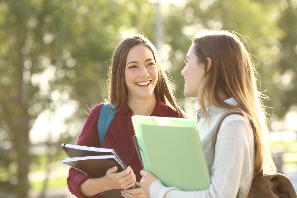 School Rumors Facts