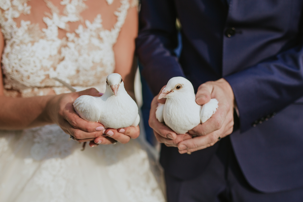Weddings Gone Wild