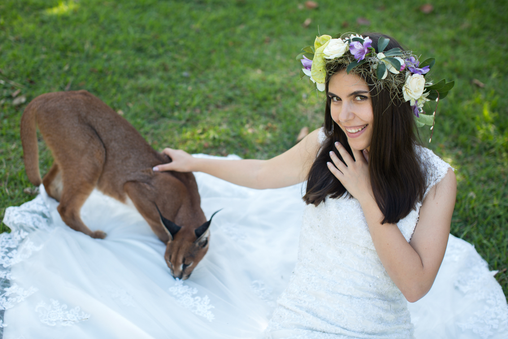 Weddings Gone Wild