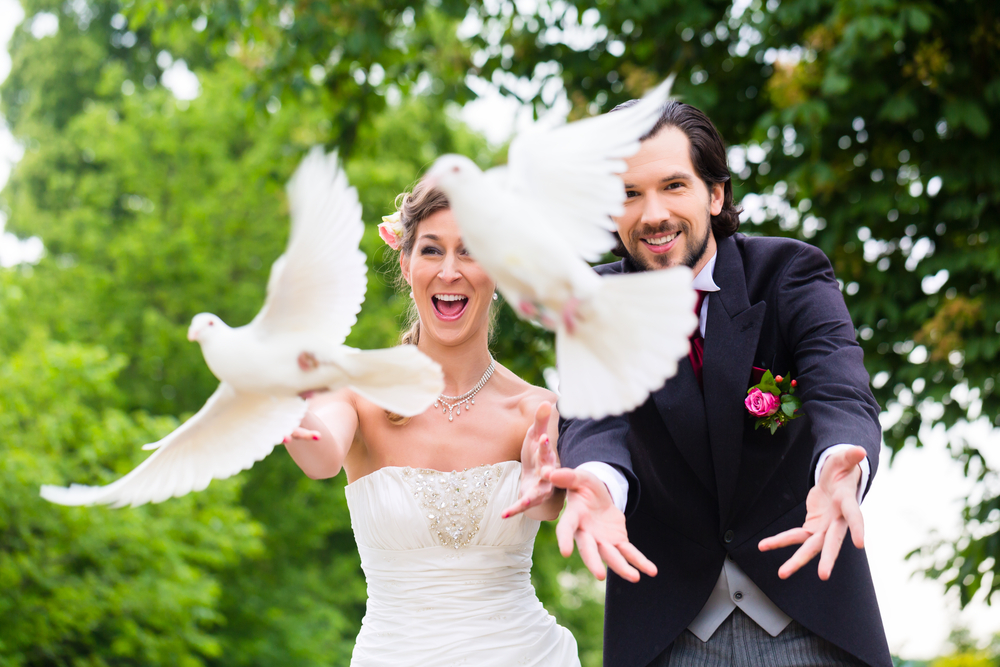 Weddings Gone Wild