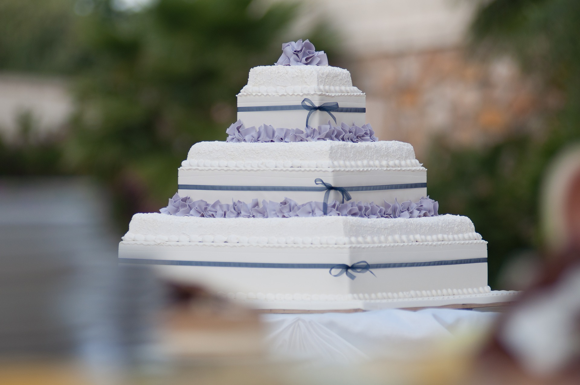 Bridezillas facts