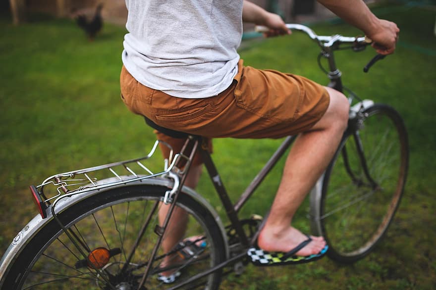 Wild Reasons for Divorce 