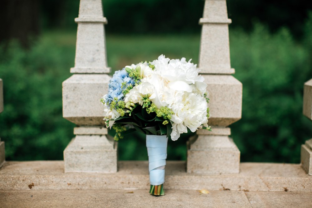 Dark Family Secrets Facts