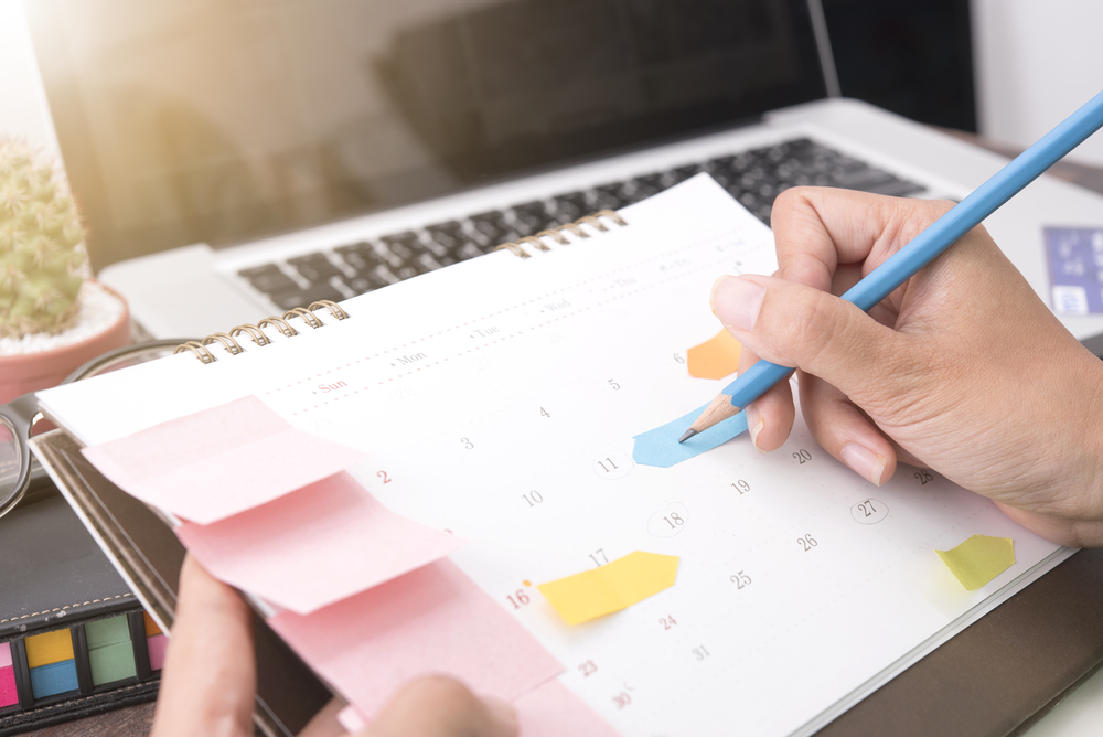 Petty Revenges facts