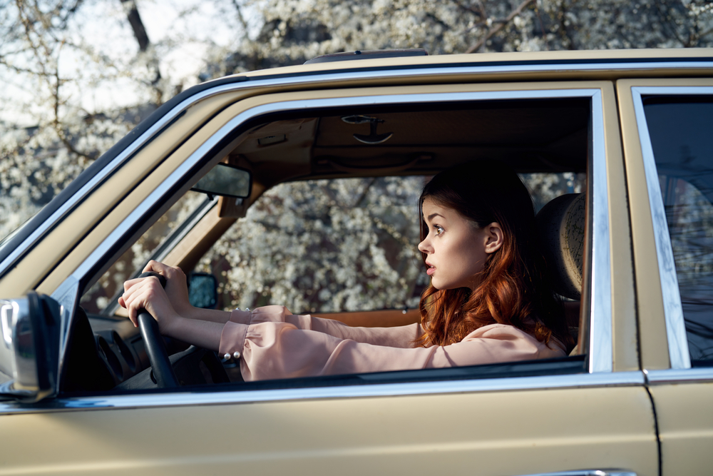 Drive-Thru Customer Experiences facts